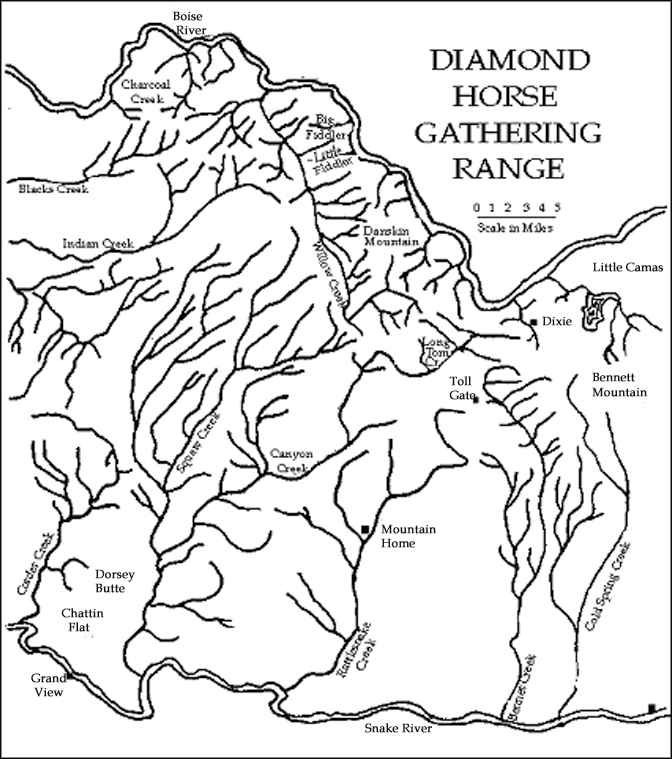 Diamond Horse Gathering Range Map