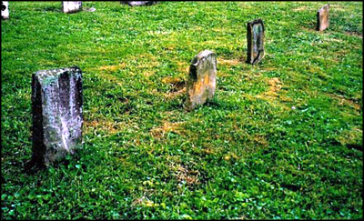 Photo of the grave of Newton Tharp and siblings
